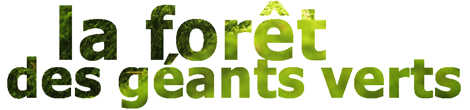 geantvert